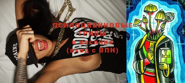 ГАЛЛЮЦИНОГЕННЫЕ ГРИБЫ Абдулино