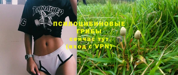 каннабис Абаза